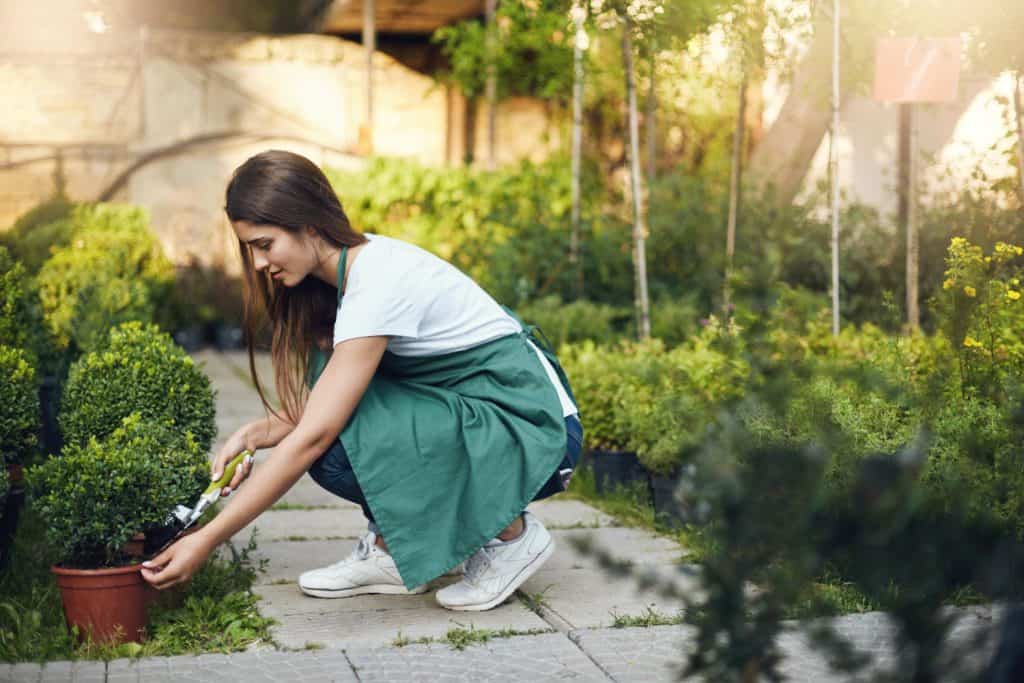 Sustainable Landscaping: Nurturing Nature for a Greener Tomorrow