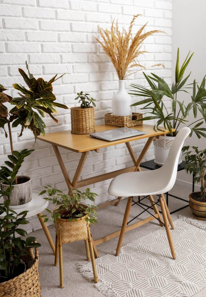 Indoor Oasis: The Indoor Plant Trend That’s Sweeping the Nation