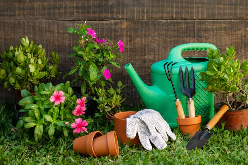 10 Essential Tools Every Gardener Should Have