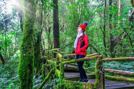 How to Have a Green Life Adventure Without Harming the Environment