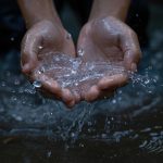 The Water Crisis: Global Challenges and Local Solutions