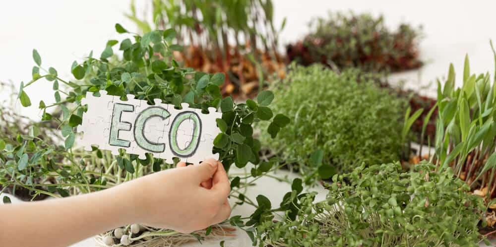 Eco-Friendly Agricultural Practices for a Sustainable Future