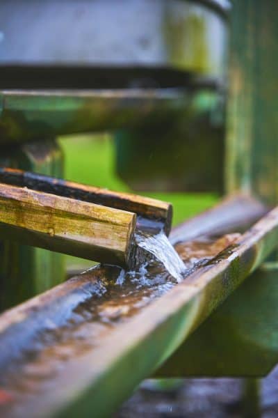 The Environmental Impact of Clogged Gutters